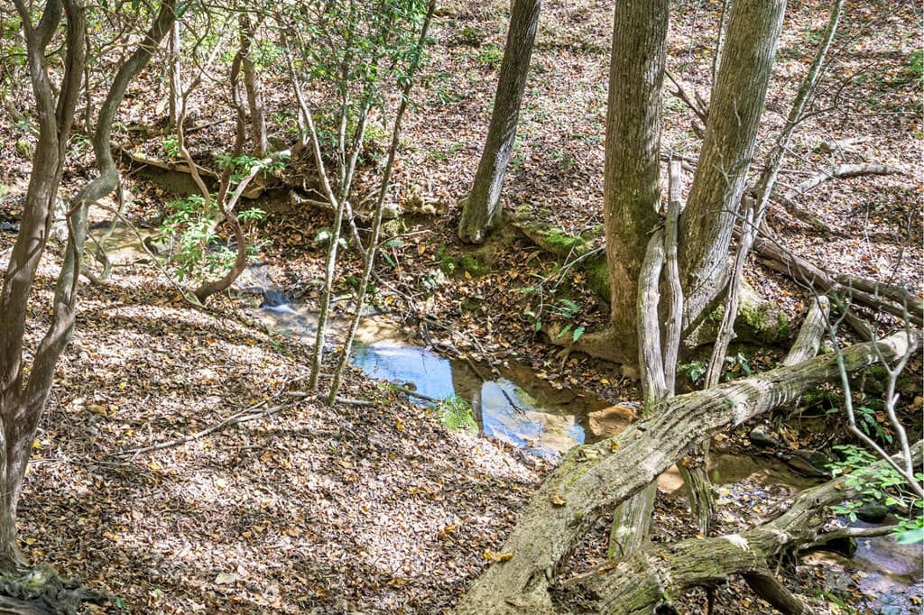 217 Goldmine Road, Morganton GA 30560 - Photo