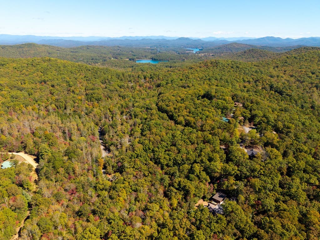 217 Goldmine Road, Morganton GA 30560 - Photo