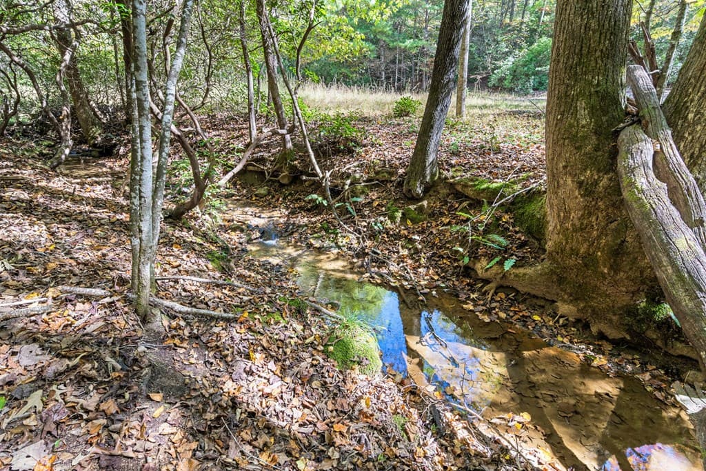 217 Goldmine Road, Morganton GA 30560 - Photo