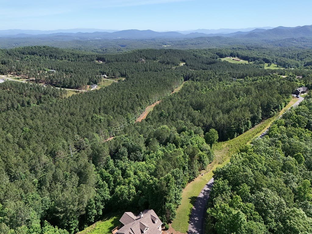 Lot 72 Thirteen Hundred, Blairsville GA 30512 - Photo
