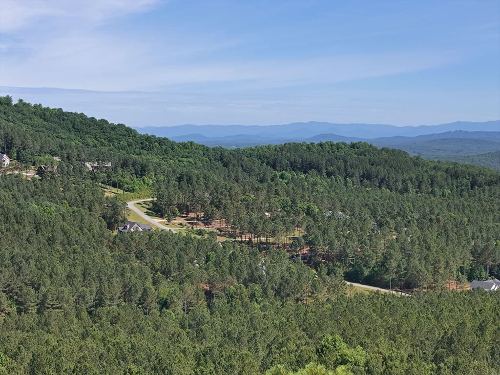Lot 72 Thirteen Hundred, Blairsville GA 30512 - Photo