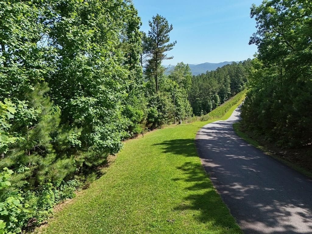 Lot 72 Thirteen Hundred, Blairsville GA 30512 - Photo