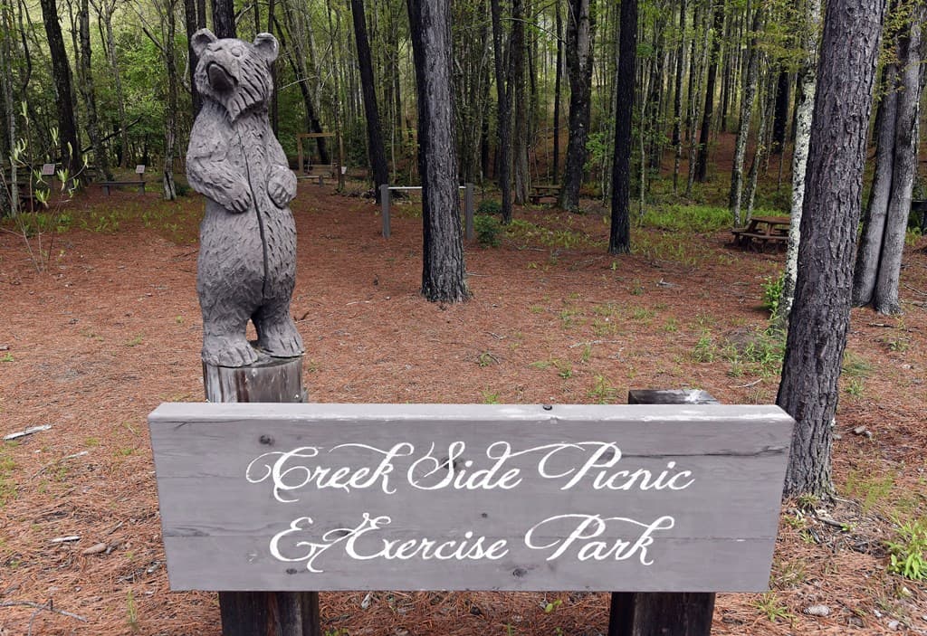 Lot 72 Thirteen Hundred, Blairsville GA 30512 - Photo