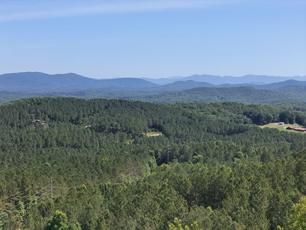 Lot 72 Thirteen Hundred, Blairsville GA 30512 - Photo