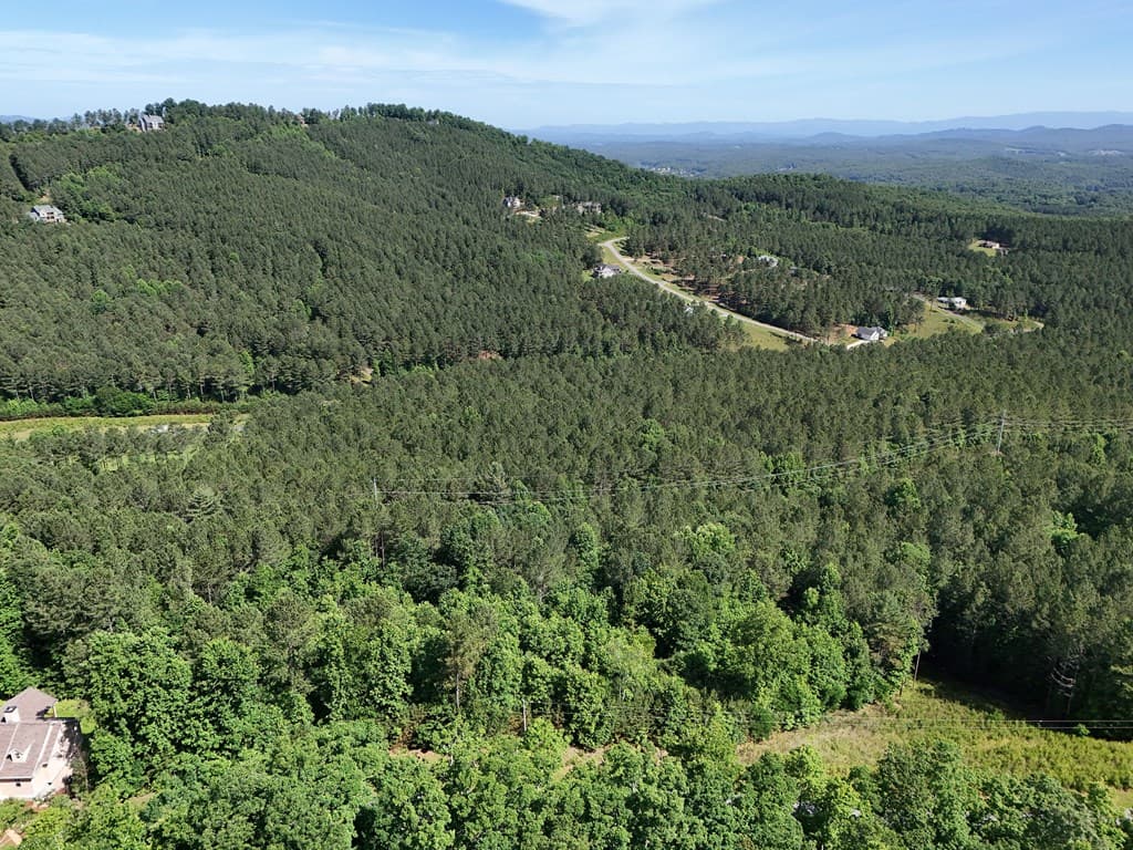 Lot 72 Thirteen Hundred, Blairsville GA 30512 - Photo