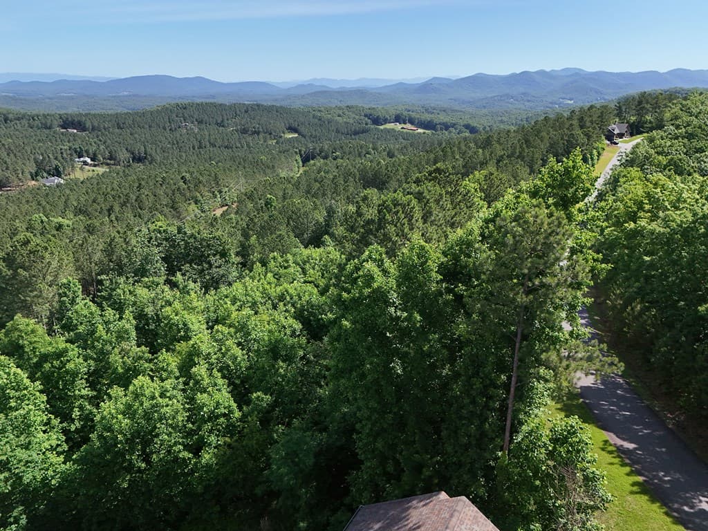 Lot 72 Thirteen Hundred, Blairsville GA 30512 - Photo