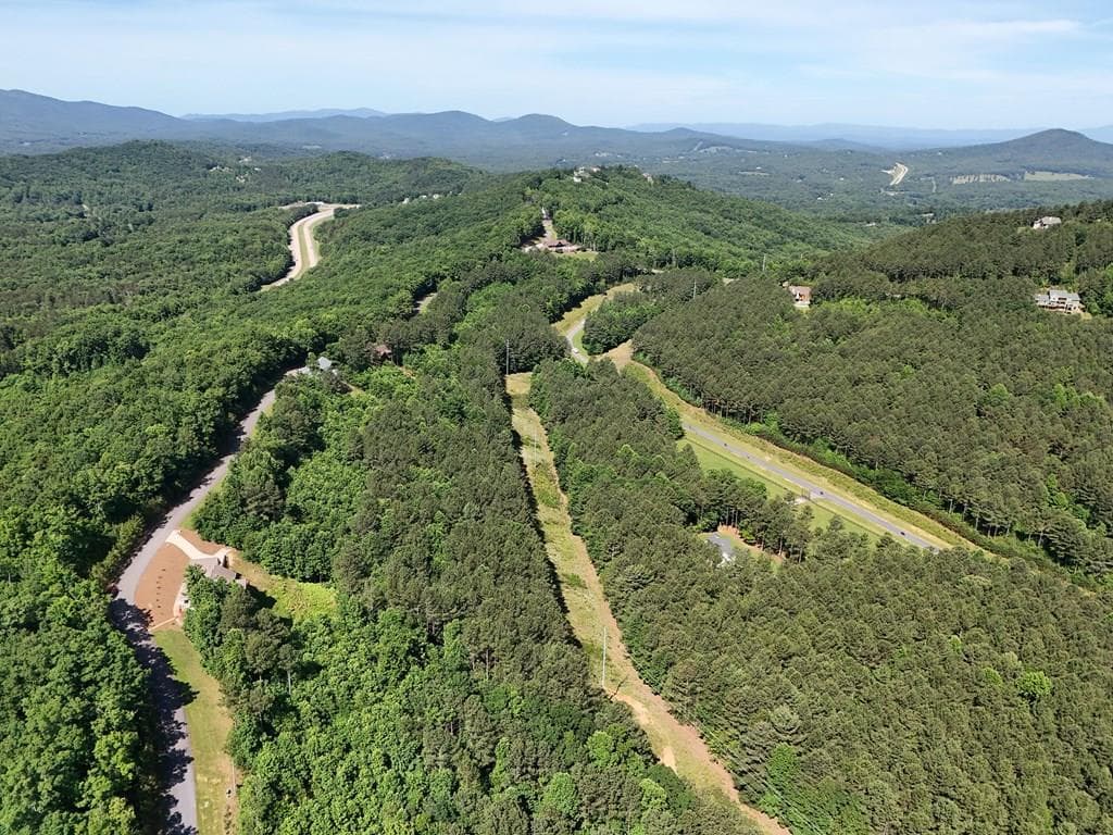 Lot 72 Thirteen Hundred, Blairsville GA 30512 - Photo