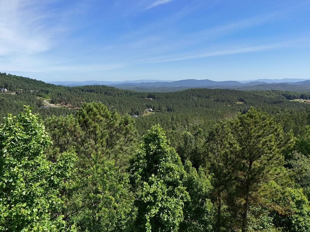 Lot 72 Thirteen Hundred, Blairsville GA 30512 - Photo