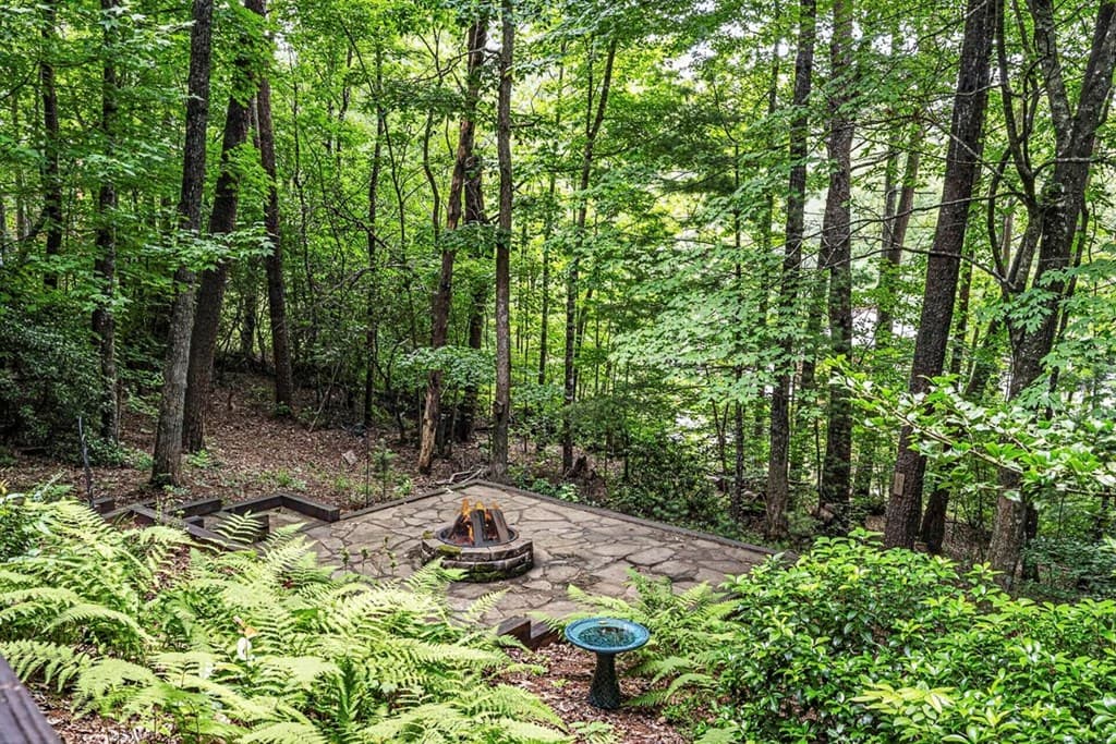 115 Lakota Trail, Blue Ridge GA 30513 - Photo