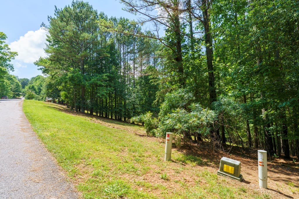Lot 21 Loftis Mountain, Blairsville GA 30512 - Photo