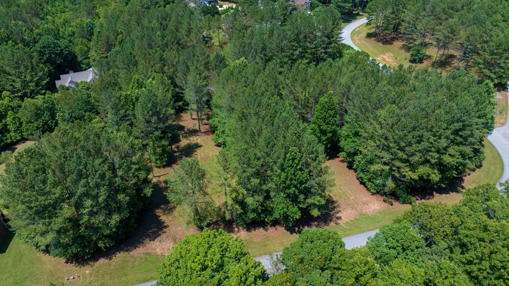 Lot 21 Loftis Mountain, Blairsville GA 30512 - Photo