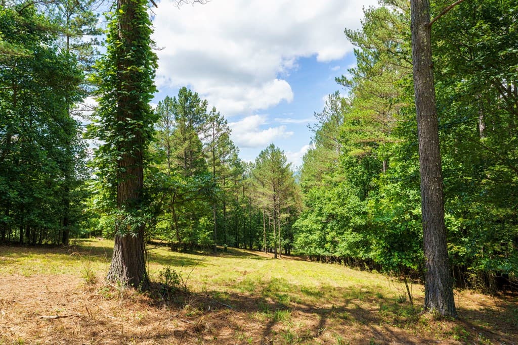 Lot 21 Loftis Mountain, Blairsville GA 30512 - Photo