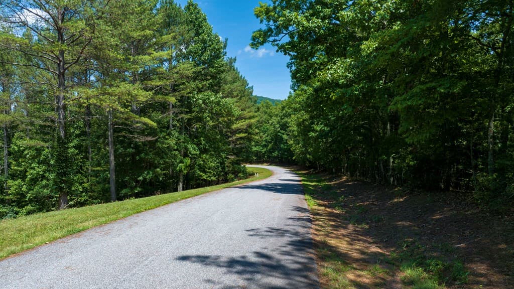 Lot 21 Loftis Mountain, Blairsville GA 30512 - Photo