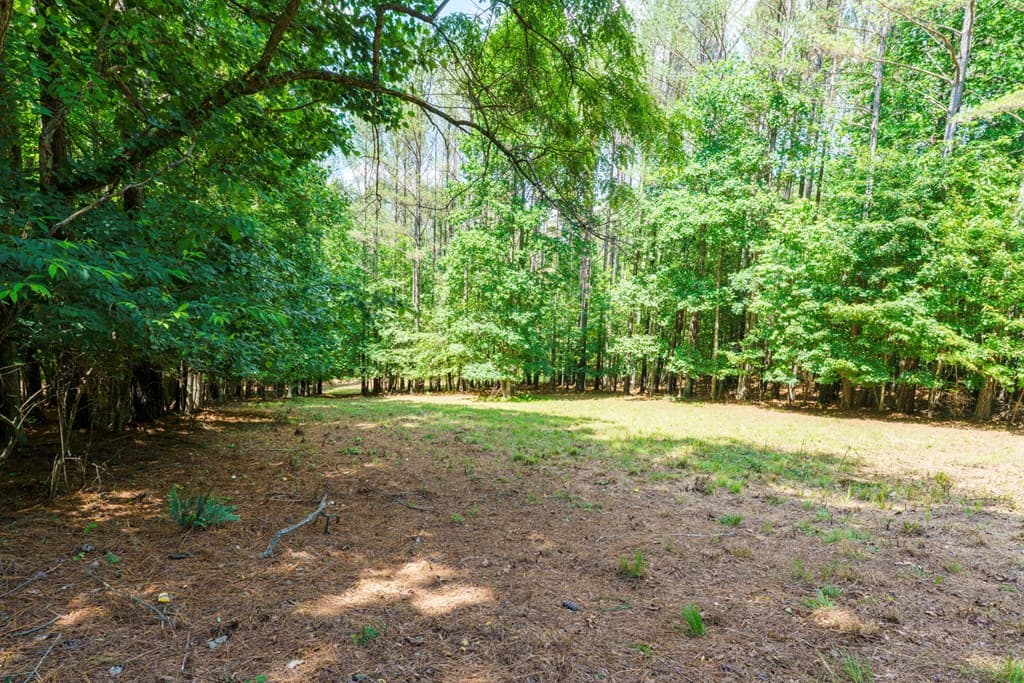 Lot 20 Loftis Mountain, Blairsville GA 30512 - Photo