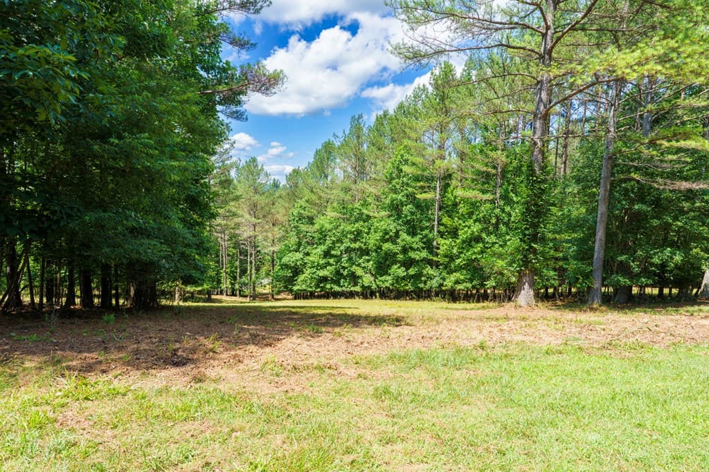 Lot 20 Loftis Mountain, Blairsville GA 30512 - Photo