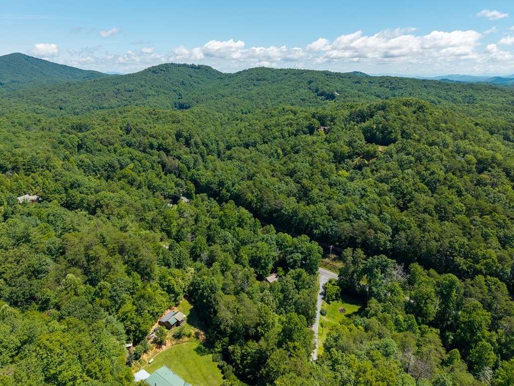1643 Lucius Road, Cherry Log GA 30522 - Photo