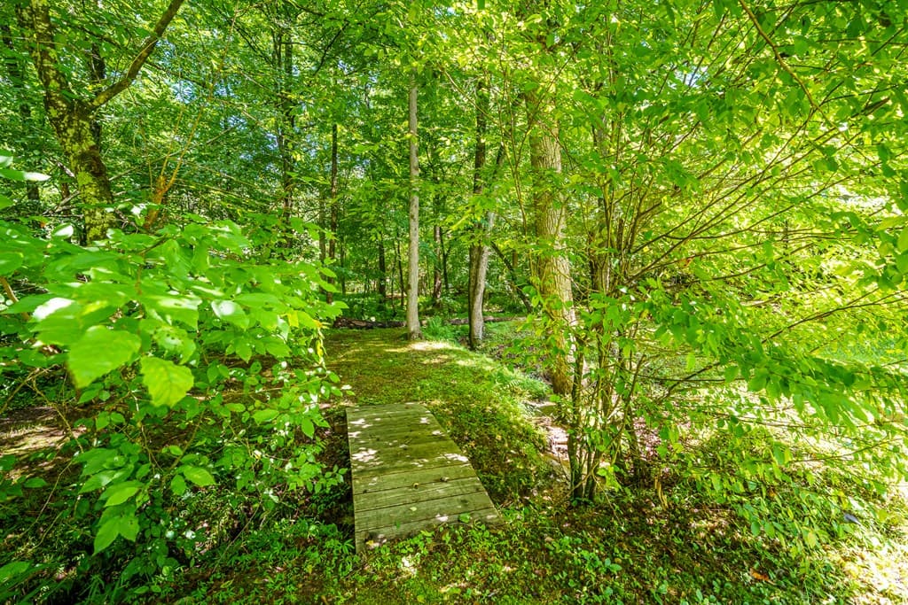 1643 Lucius Road, Cherry Log GA 30522 - Photo