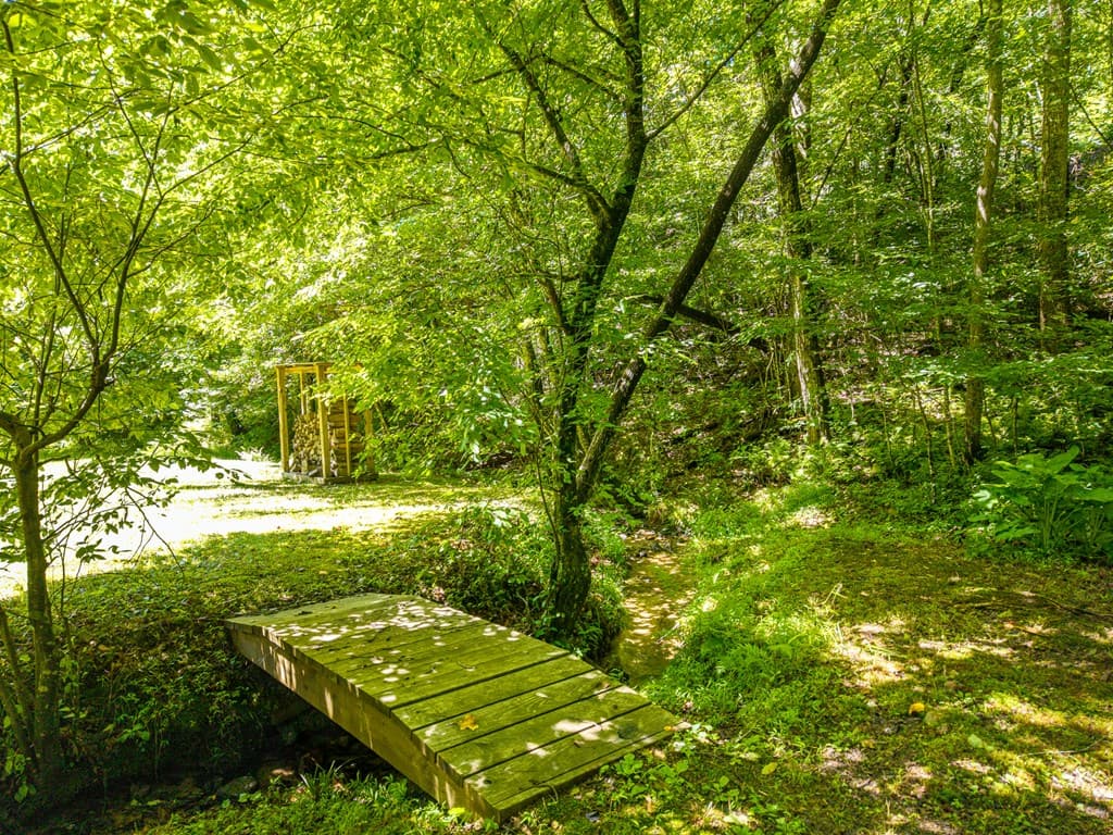 1643 Lucius Road, Cherry Log GA 30522 - Photo