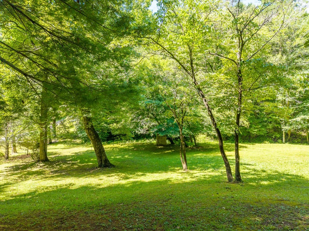 1643 Lucius Road, Cherry Log GA 30522 - Photo