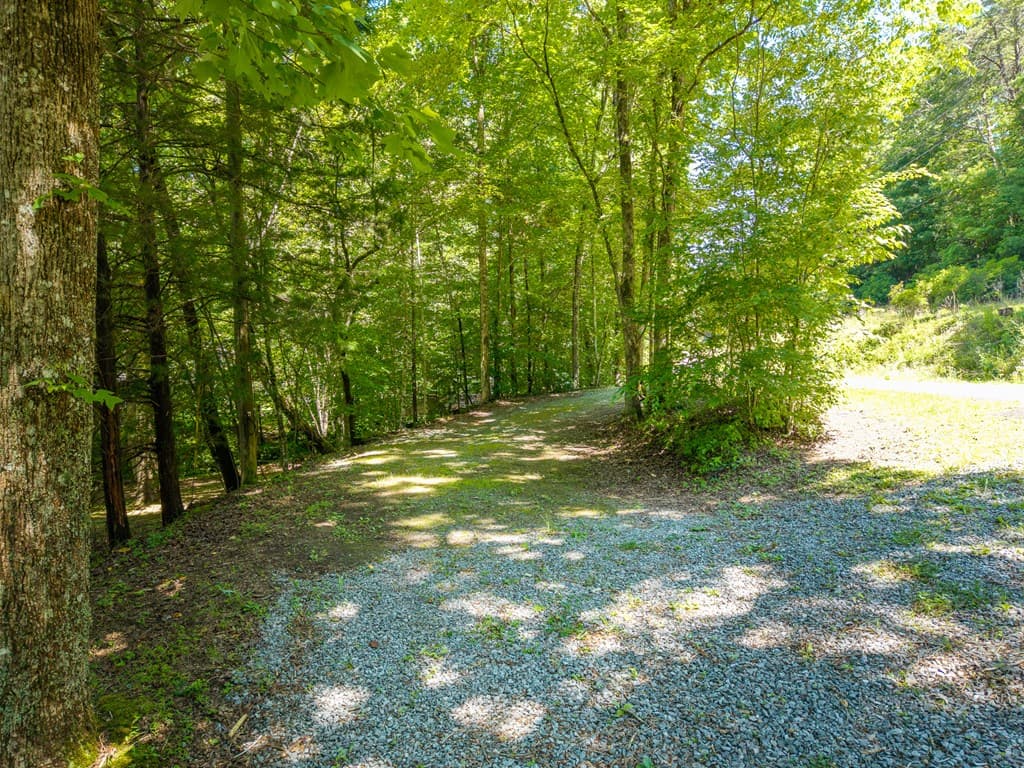 1643 Lucius Road, Cherry Log GA 30522 - Photo