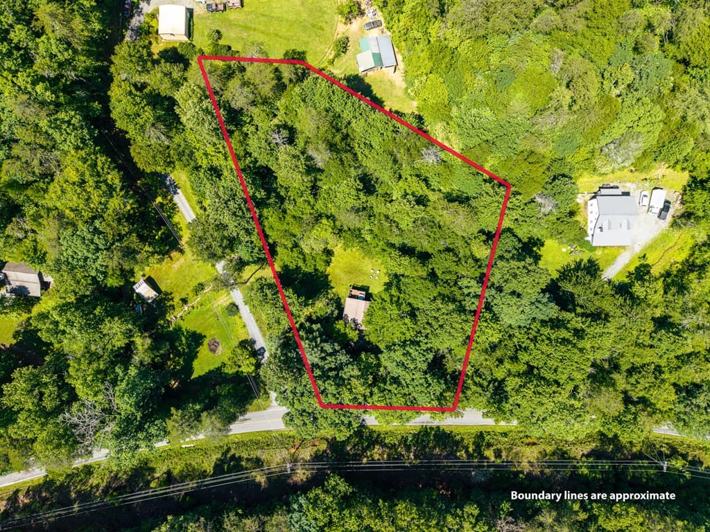 1643 Lucius Road, Cherry Log GA 30522 - Photo
