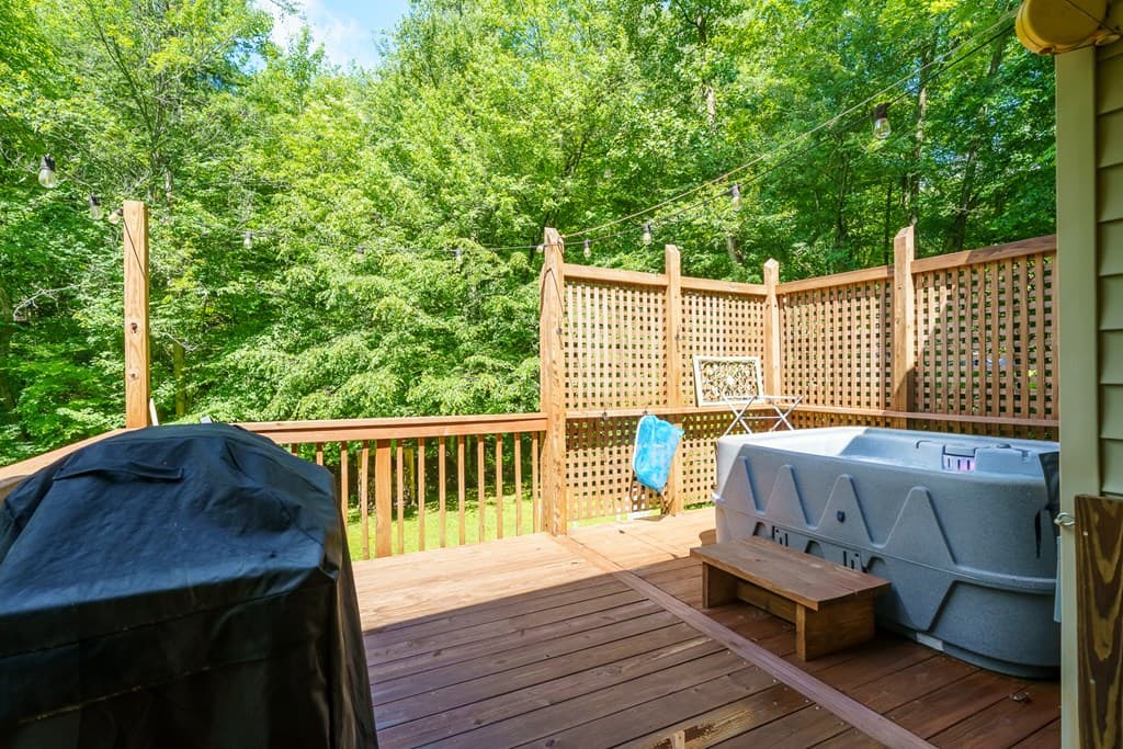 1643 Lucius Road, Cherry Log GA 30522 - Photo