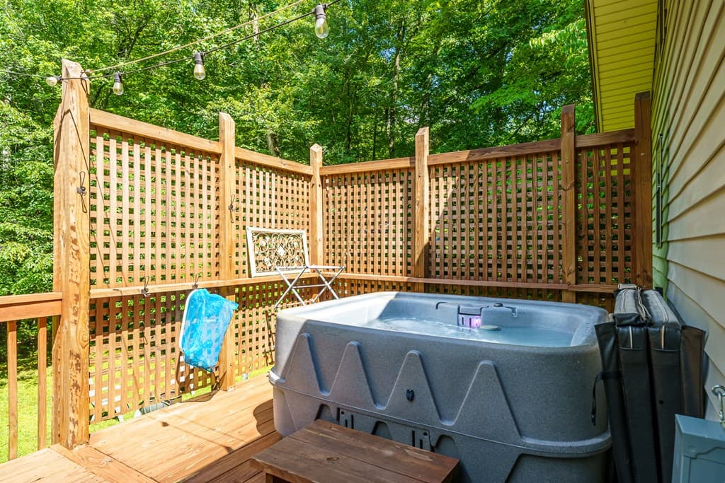 1643 Lucius Road, Cherry Log GA 30522 - Photo