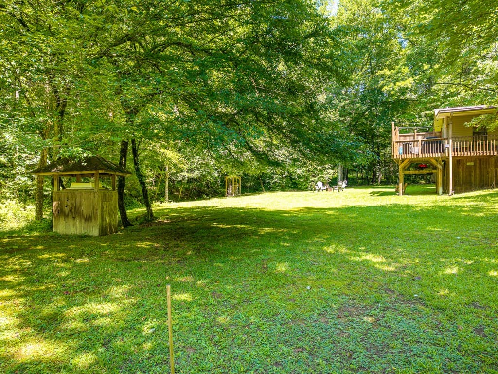 1643 Lucius Road, Cherry Log GA 30522 - Photo