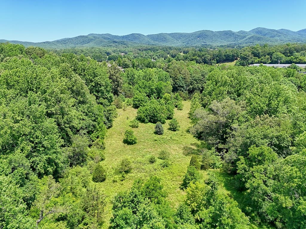 LT 302/3 W Hwy 515, Blairsville GA 30512 - Photo