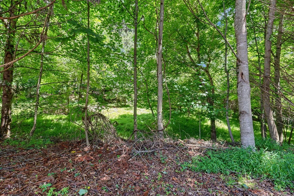 LT 302/3 W Hwy 515, Blairsville GA 30512 - Photo