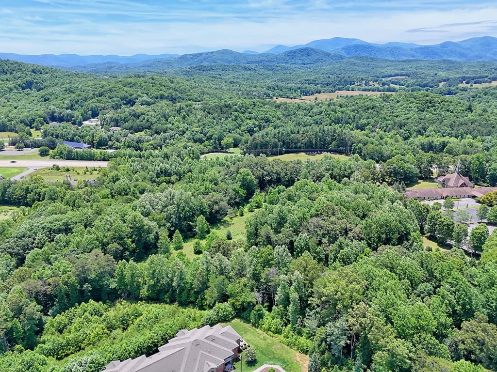 LT 302/3 W Hwy 515, Blairsville GA 30512 - Photo