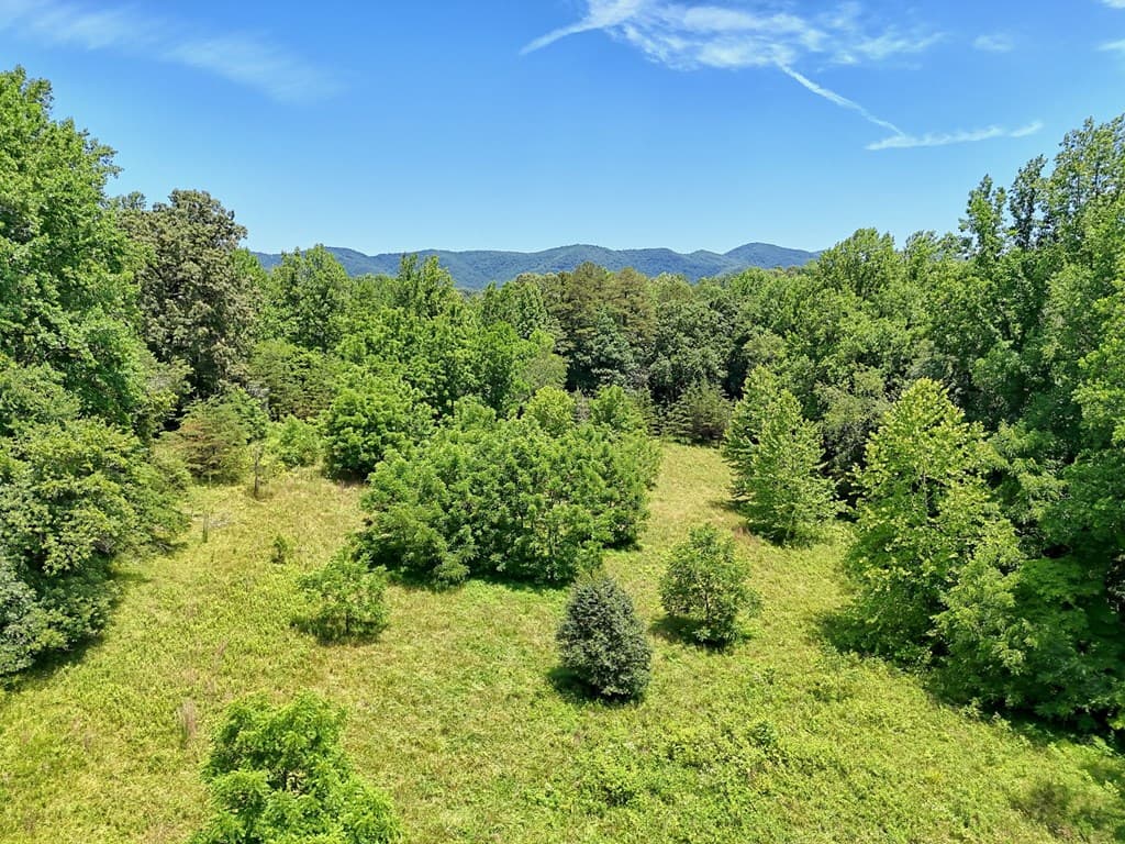 LT 302/3 W Hwy 515, Blairsville GA 30512 - Photo