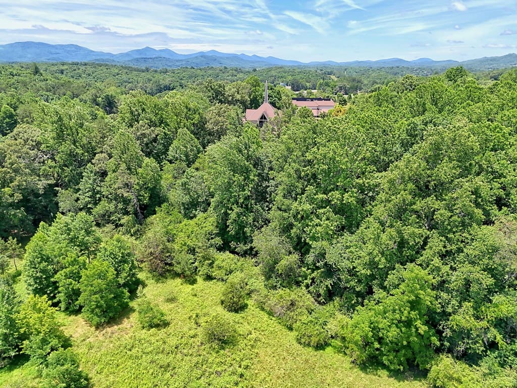 LT 302/3 W Hwy 515, Blairsville GA 30512 - Photo