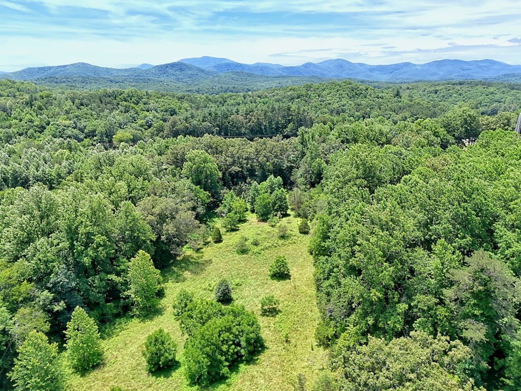 LT 302/3 W Hwy 515, Blairsville GA 30512 - Photo