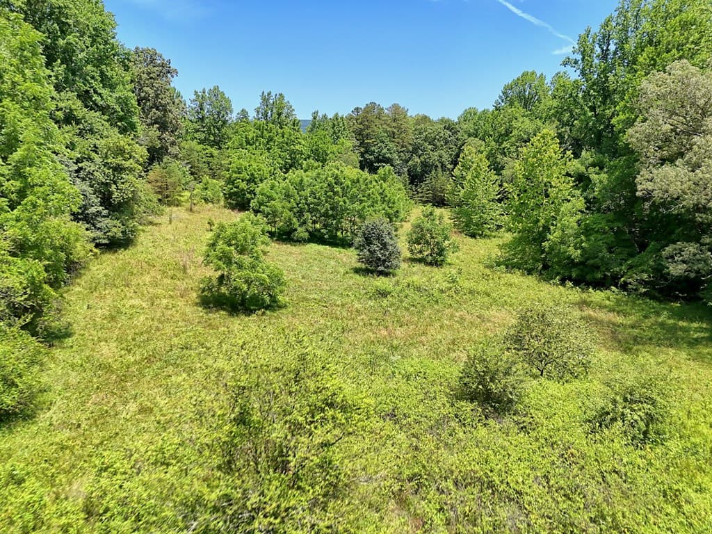 LT 302/3 W Hwy 515, Blairsville GA 30512 - Photo