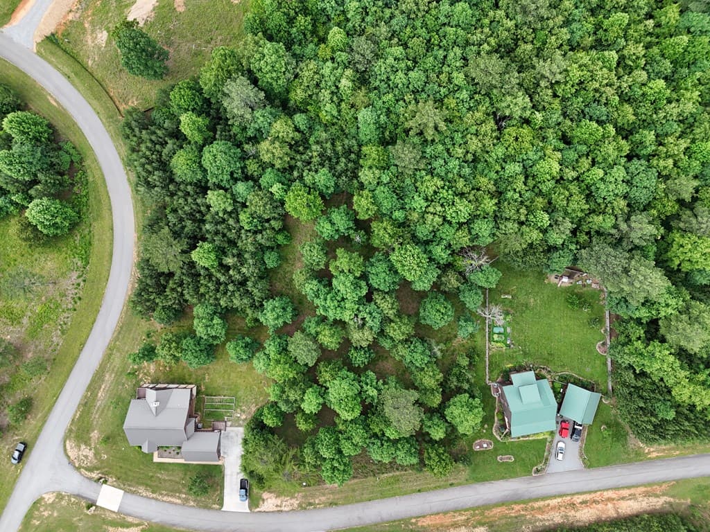 0 Village Loop, Blairsville GA 30512 - Photo