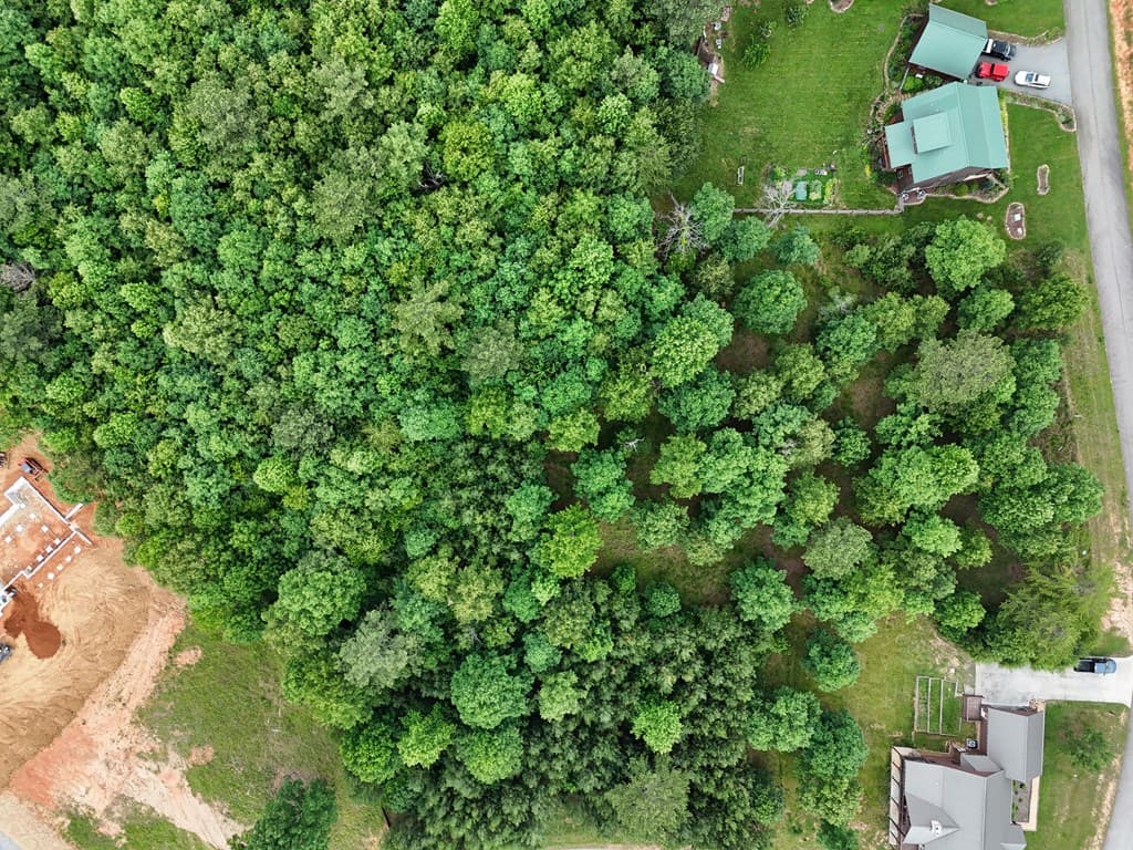 0 Village Loop, Blairsville GA 30512 - Photo