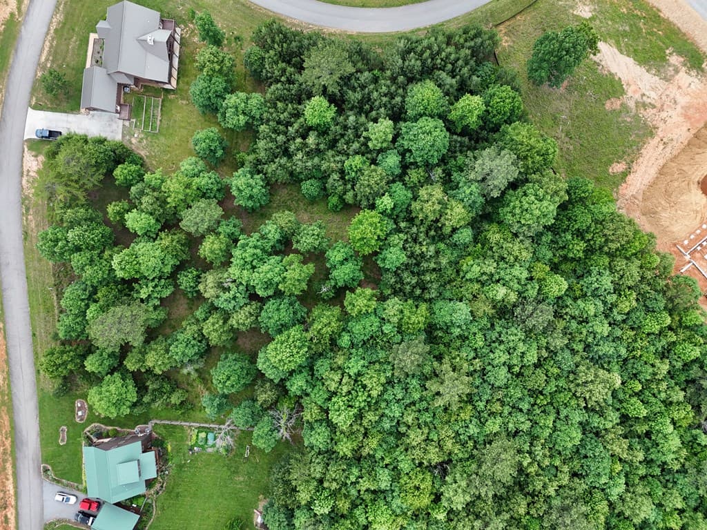 0 Village Loop, Blairsville GA 30512 - Photo