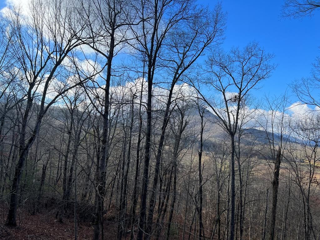 2270 Valley View Drive, Hiawassee GA 30546 - Photo