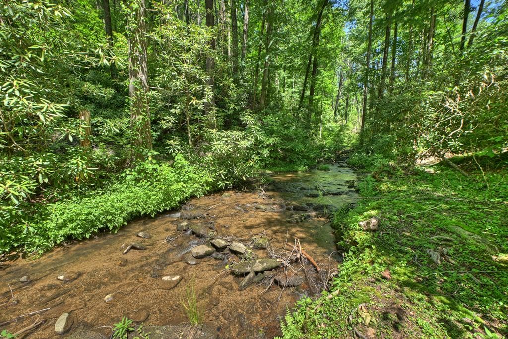 280 Serenity Place, Ellijay GA 30540 - Photo