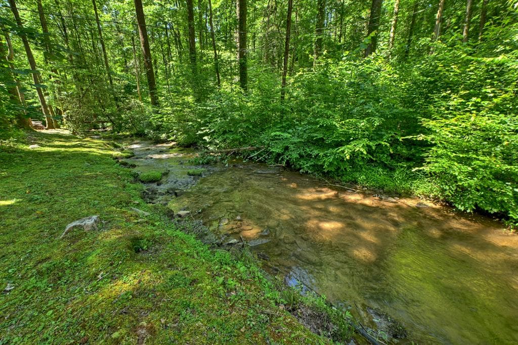 280 Serenity Place, Ellijay GA 30540 - Photo