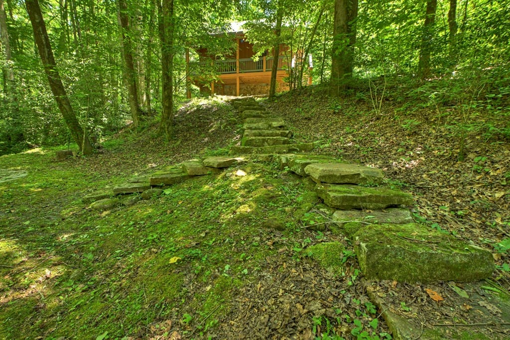 373 Barnes Creek Drive, Ellijay GA 30540 - Photo