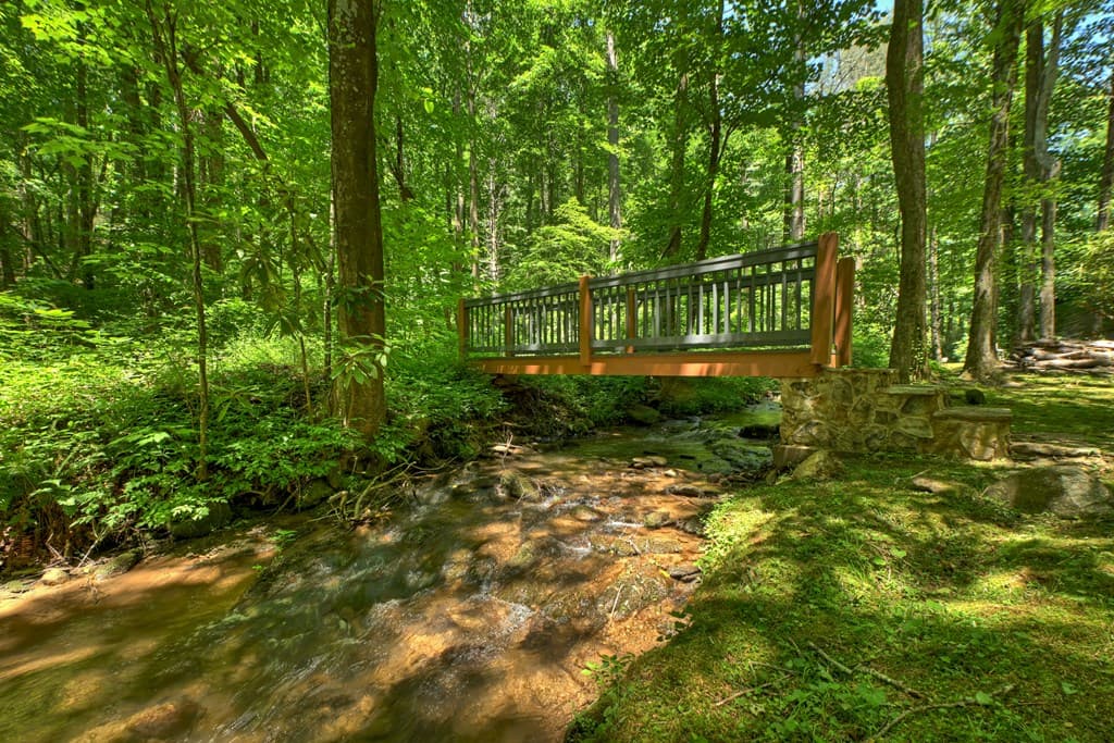 373 Barnes Creek Drive, Ellijay GA 30540 - Photo