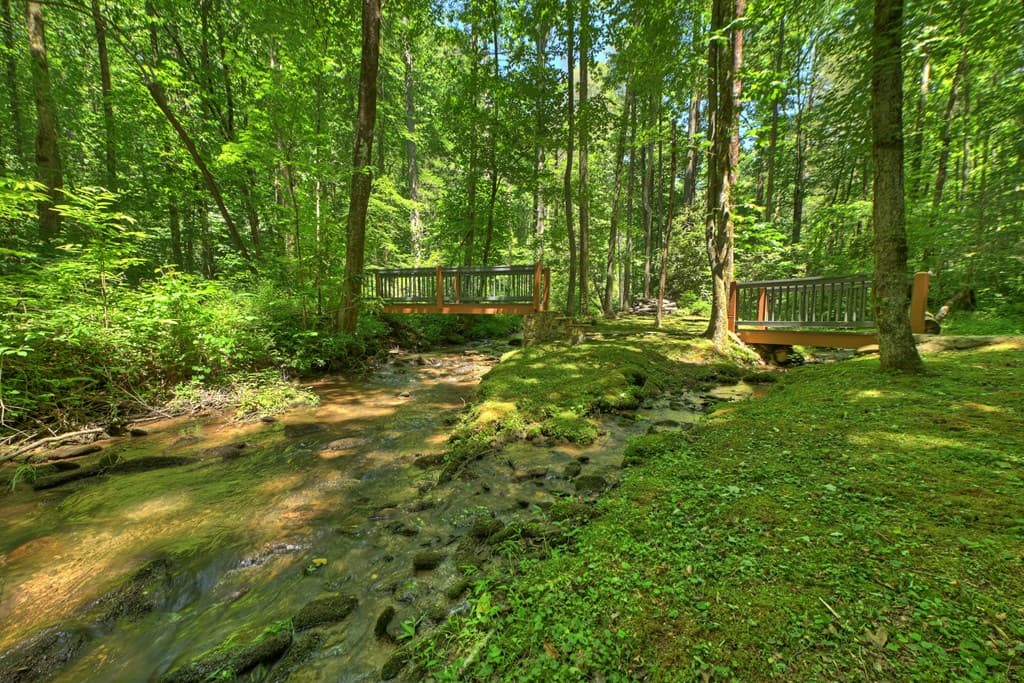373 Barnes Creek Drive, Ellijay GA 30540 - Photo