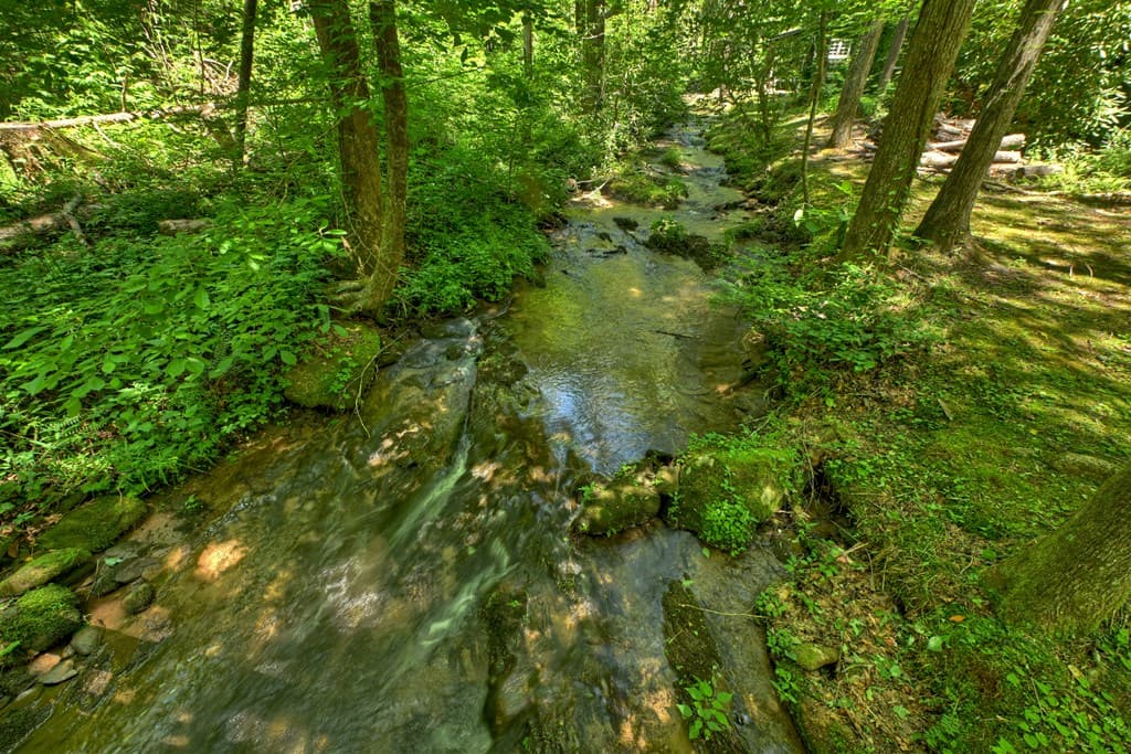 373 Barnes Creek Drive, Ellijay GA 30540 - Photo