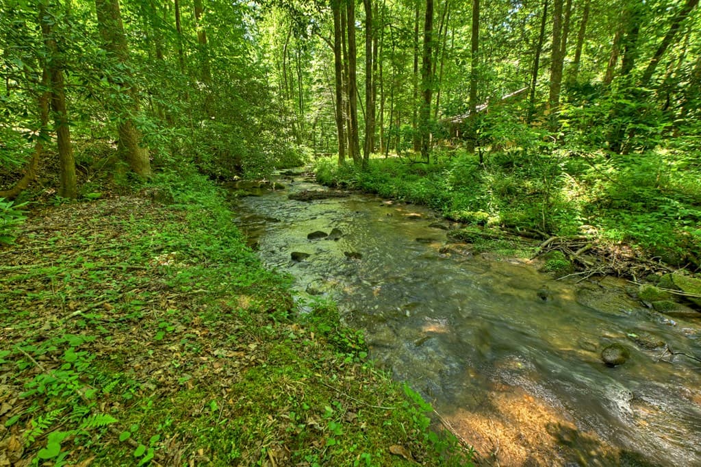 373 Barnes Creek Drive, Ellijay GA 30540 - Photo