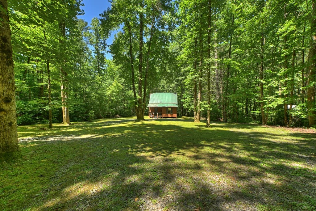 373 Barnes Creek Drive, Ellijay GA 30540 - Photo