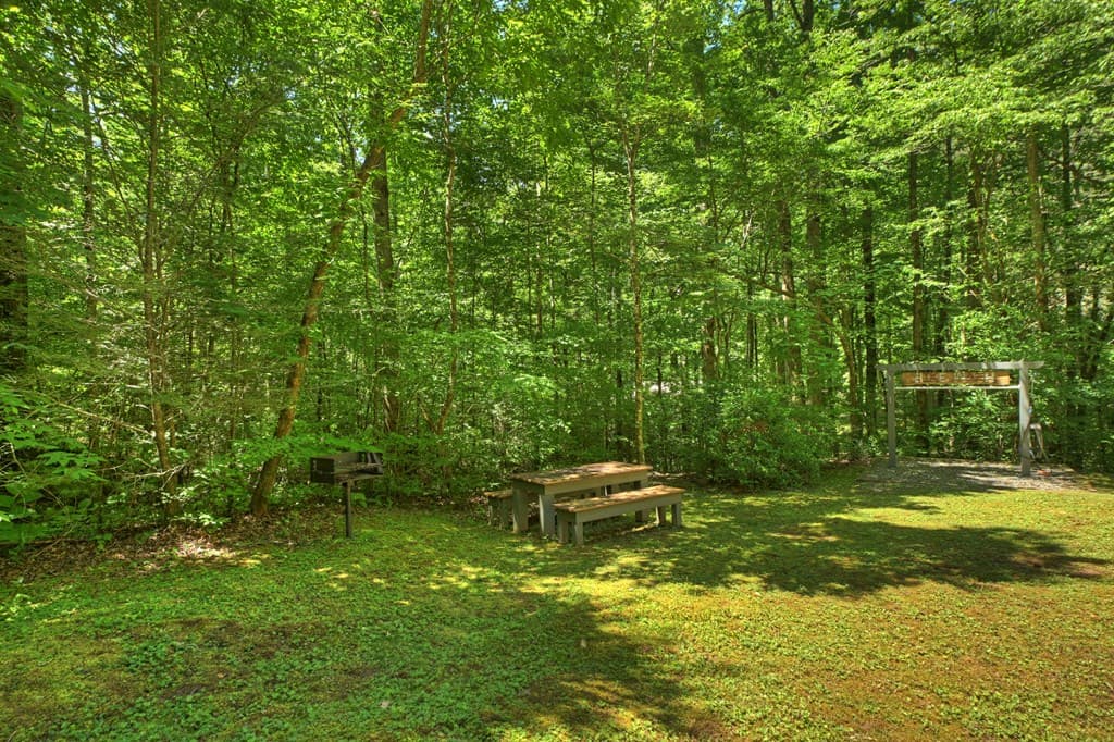 373 Barnes Creek Drive, Ellijay GA 30540 - Photo