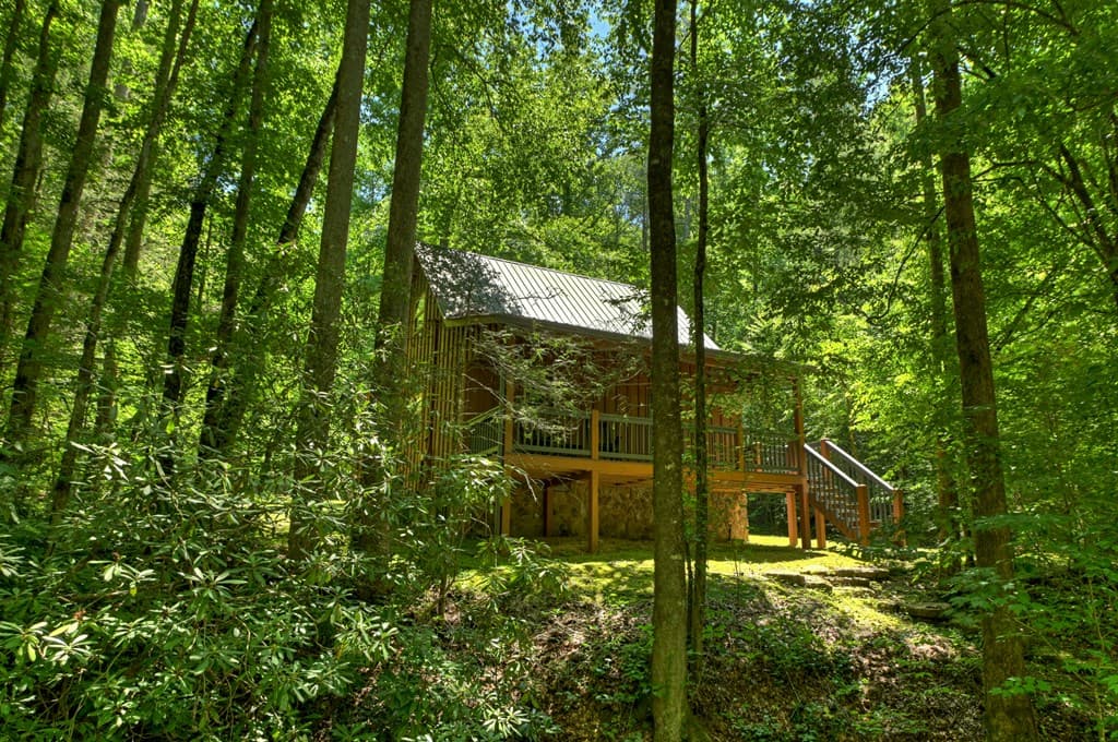 373 Barnes Creek Drive, Ellijay GA 30540 - Photo