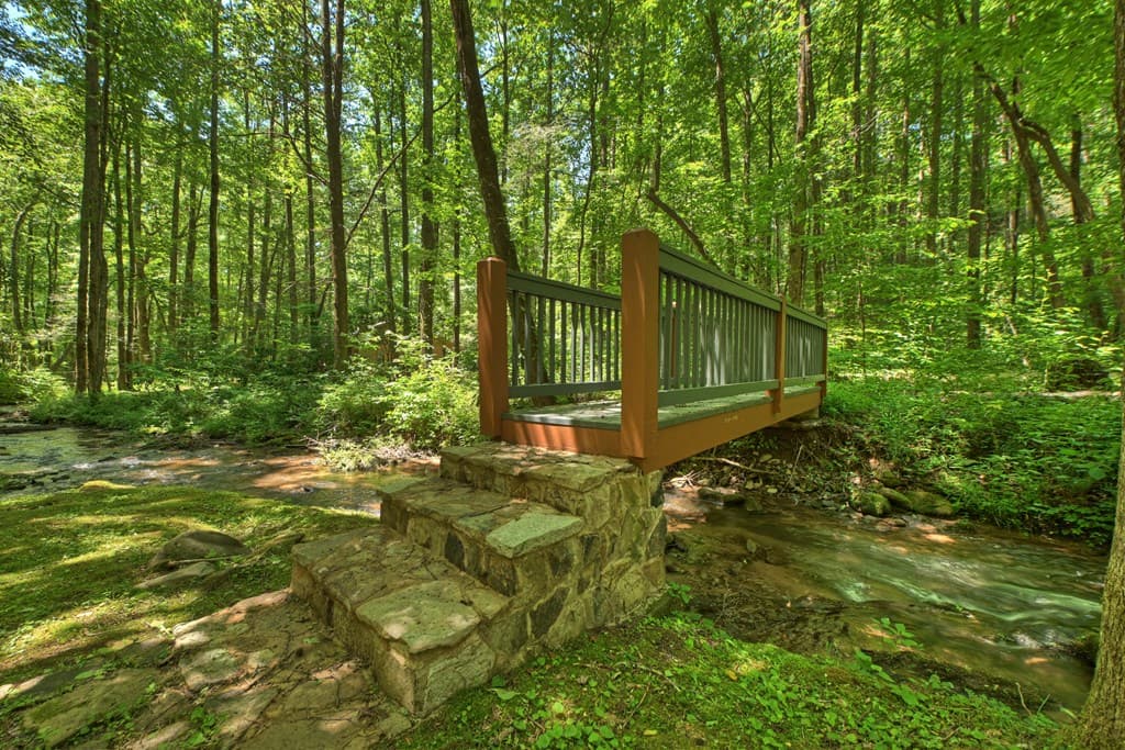 373 Barnes Creek Drive, Ellijay GA 30540 - Photo